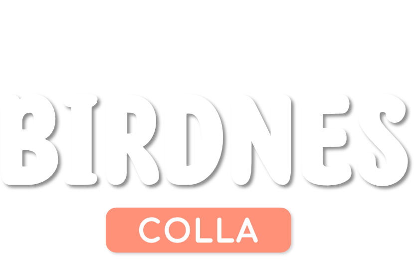 birdnes-colla